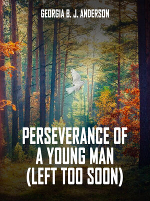 cover image of Perseverance of a Young Man